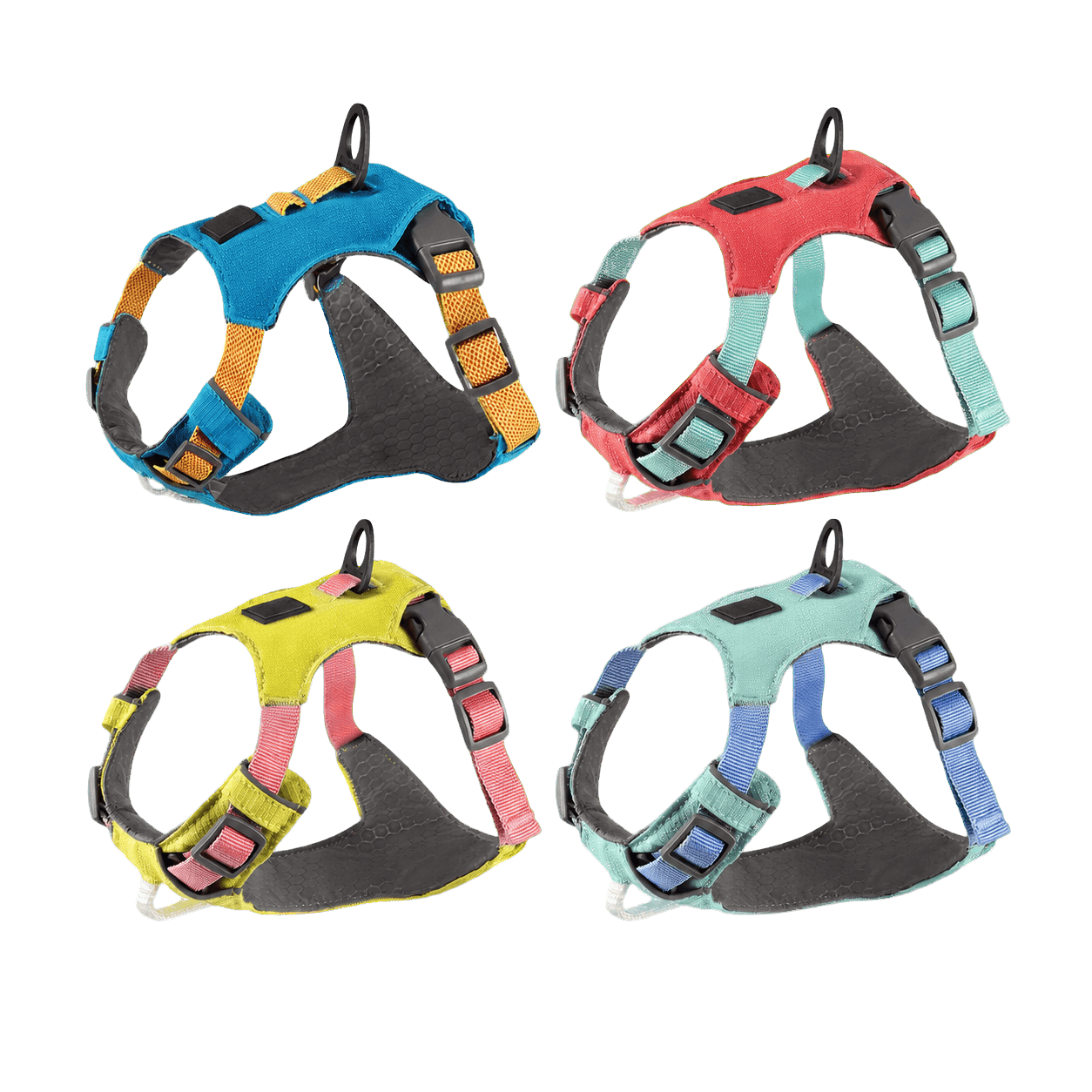 Four unbranded lightweight dog harnesses in blue, coral, lime and mint color combinations
